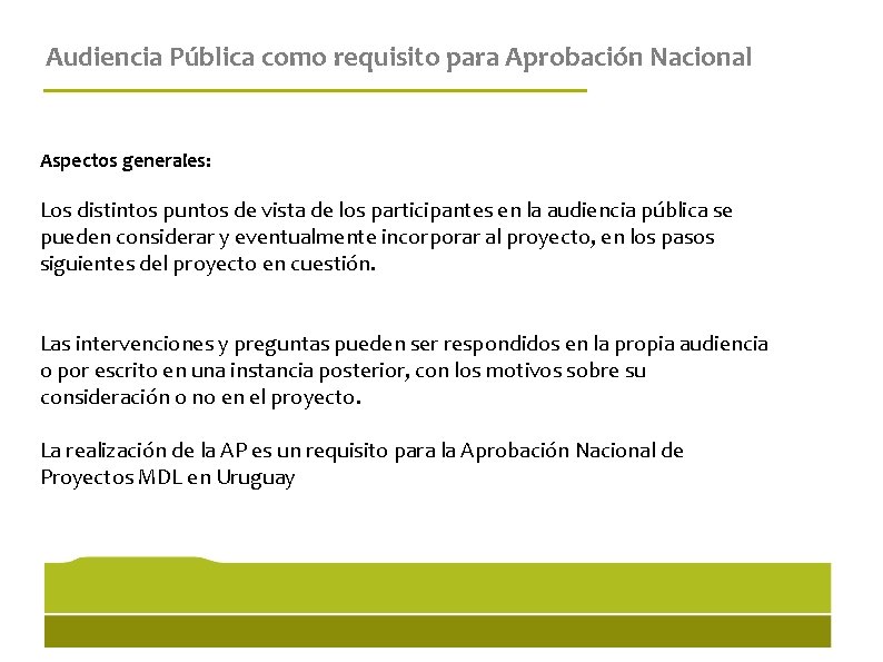 Audiencia Pública como requisito para Aprobación Nacional Aspectos generales: Los distintos puntos de vista