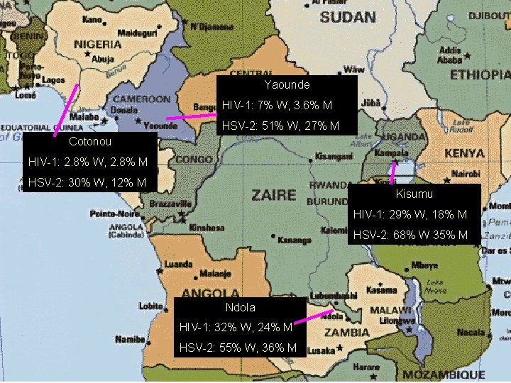 Yaounde HIV-1: 7% W, 3. 6% M HSV-2: 51% W, 27% M Cotonou HIV-1: