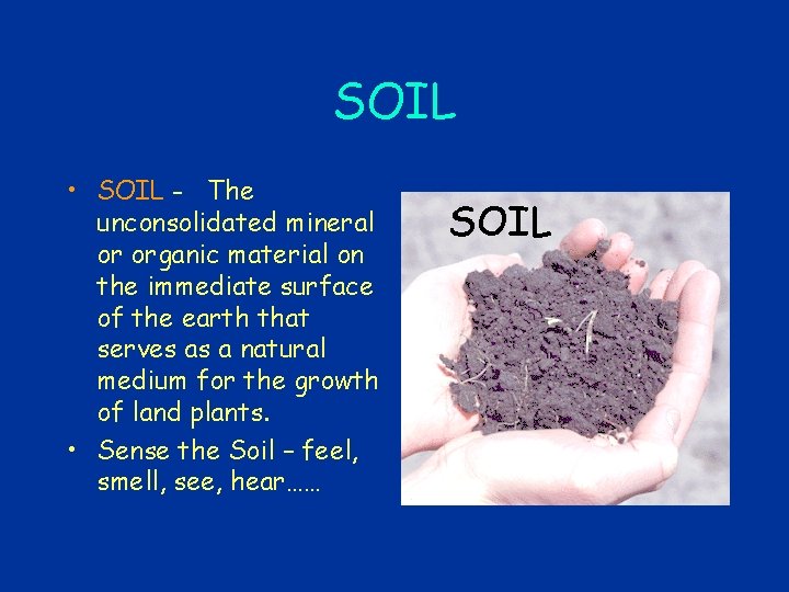 SOIL • SOIL - The unconsolidated mineral or organic material on the immediate surface