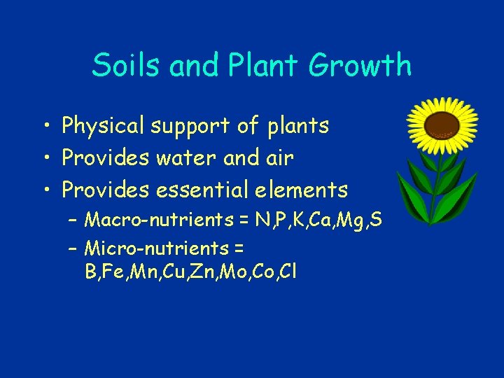 Soils and Plant Growth • Physical support of plants • Provides water and air