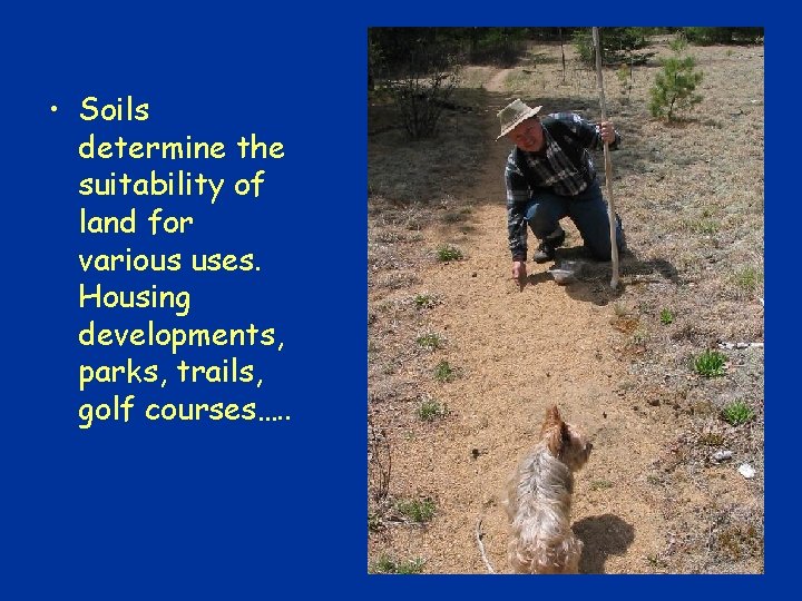  • Soils determine the suitability of land for various uses. Housing developments, parks,