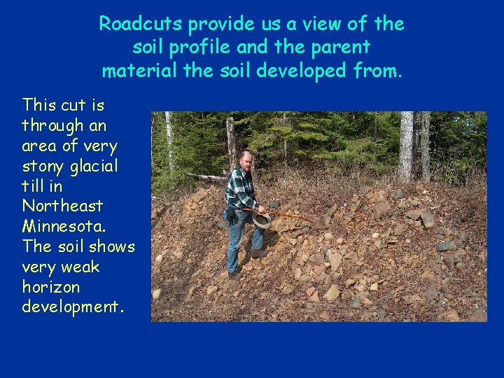 Roadcuts provide us a view of the soil profile and the parent material the