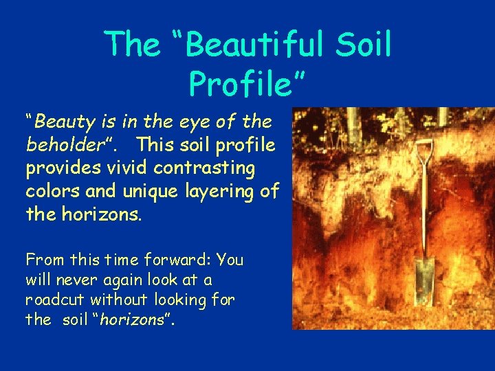 The “Beautiful Soil Profile” “Beauty is in the eye of the beholder”. This soil