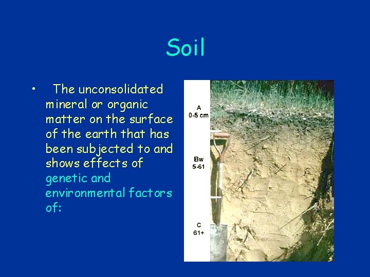 Soil • The unconsolidated mineral or organic matter on the surface of the earth