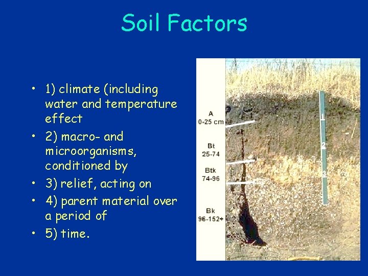 Soil Factors • 1) climate (including water and temperature effect • 2) macro- and