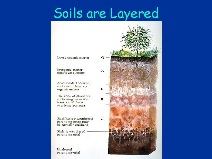 Soils are Layered 