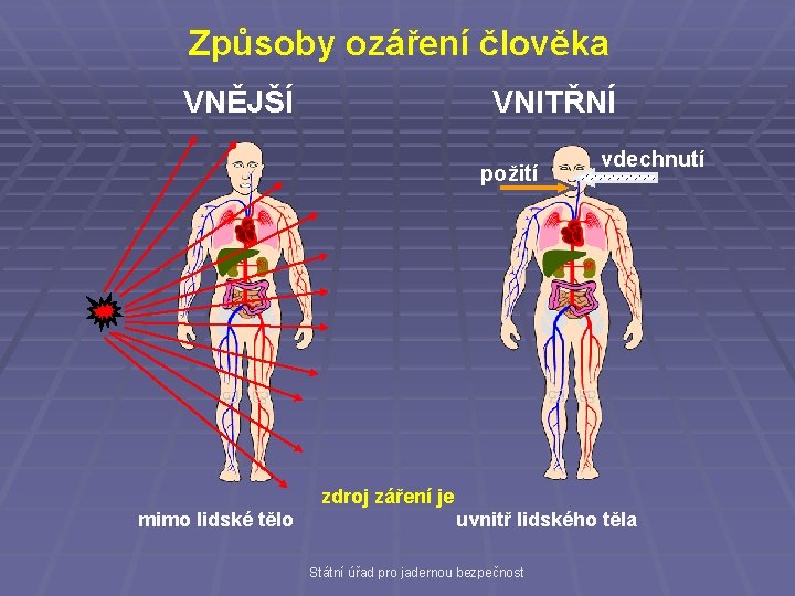 Způsoby ozáření člověka VNĚJŠÍ VNITŘNÍ požití vdechnutí zdroj záření je mimo lidské tělo uvnitř