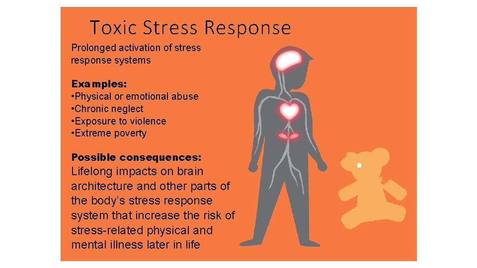 Toxic Stress Response Prolonged activation of stress response systems Examples: • Physical or emotional