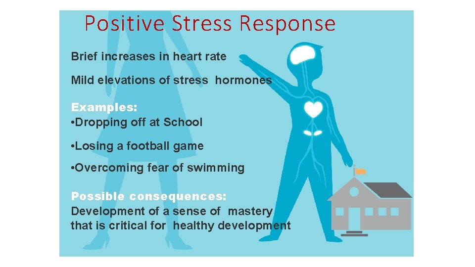 Positive Stress Response Brief increases in heart rate Mild elevations of stress hormones Examples: