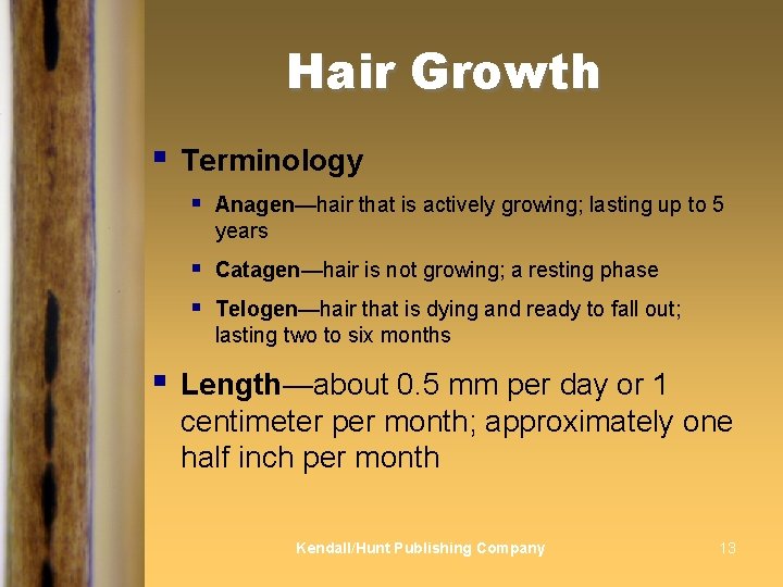 Hair Growth § § Terminology § Anagen—hair that is actively growing; lasting up to