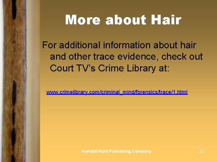 More about Hair For additional information about hair and other trace evidence, check out