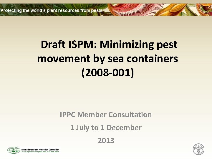 Draft ISPM: Minimizing pest movement by sea containers (2008 -001) IPPC Member Consultation 1
