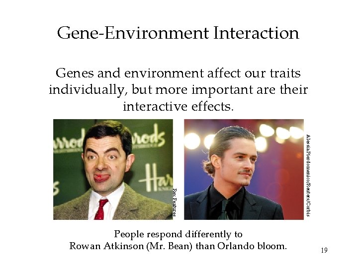 Gene-Environment Interaction Genes and environment affect our traits individually, but more important are their