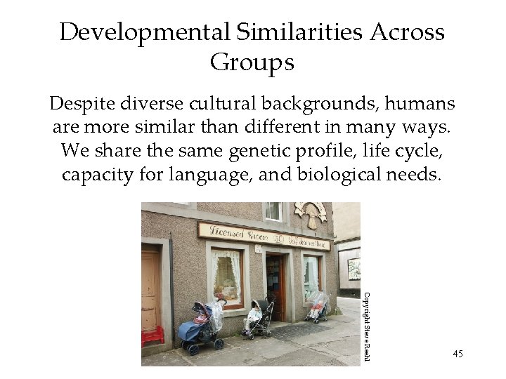 Developmental Similarities Across Groups Despite diverse cultural backgrounds, humans are more similar than different