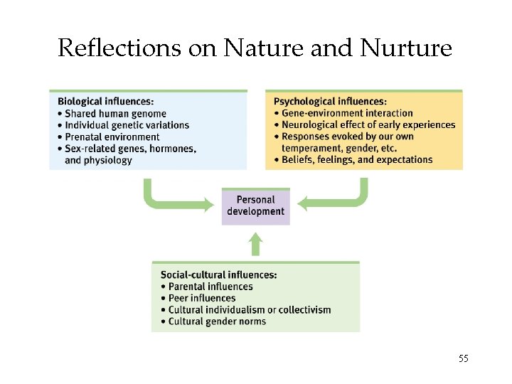 Reflections on Nature and Nurture 55 