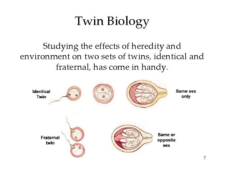 Twin Biology Studying the effects of heredity and environment on two sets of twins,