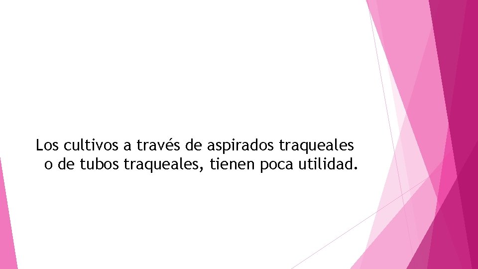 Los cultivos a través de aspirados traqueales o de tubos traqueales, tienen poca utilidad.