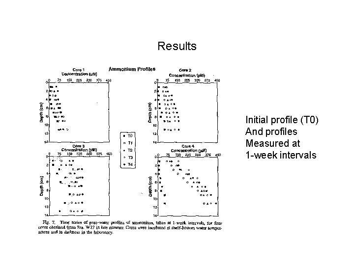 Results Initial profile (T 0) And profiles Measured at 1 -week intervals 