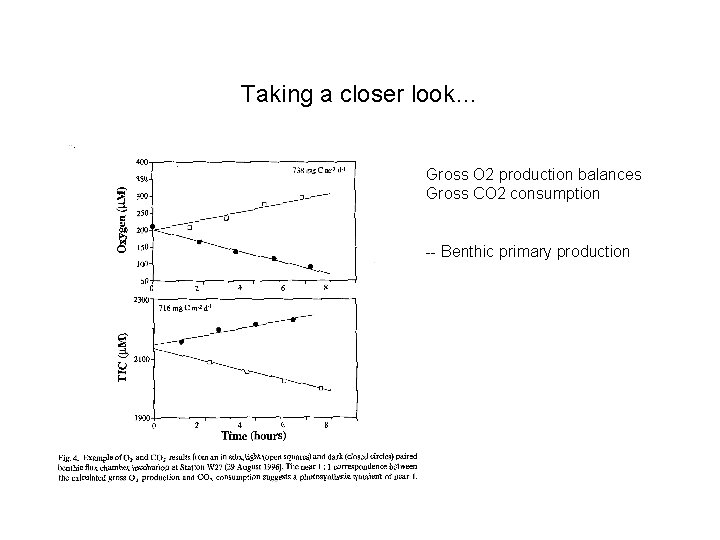 Taking a closer look… Gross O 2 production balances Gross CO 2 consumption --