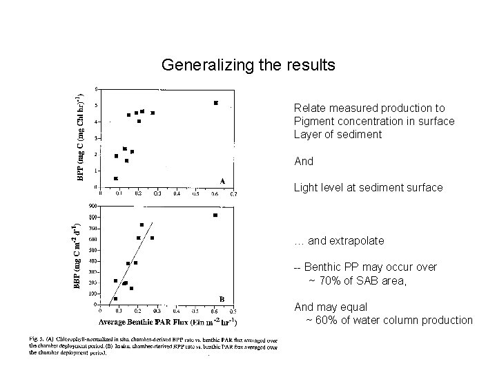 Generalizing the results Relate measured production to Pigment concentration in surface Layer of sediment