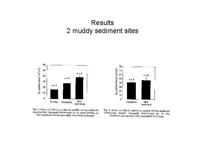 Results 2 muddy sediment sites 