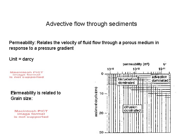 Advective flow through sediments Permeability: Relates the velocity of fluid flow through a porous