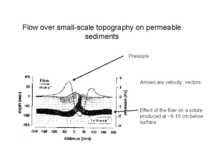 Flow over small-scale topography on permeable sediments Pressure Arrows are velocity vectors Effect of