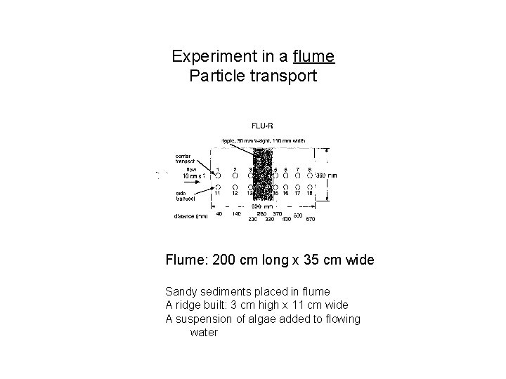 Experiment in a flume Particle transport Flume: 200 cm long x 35 cm wide