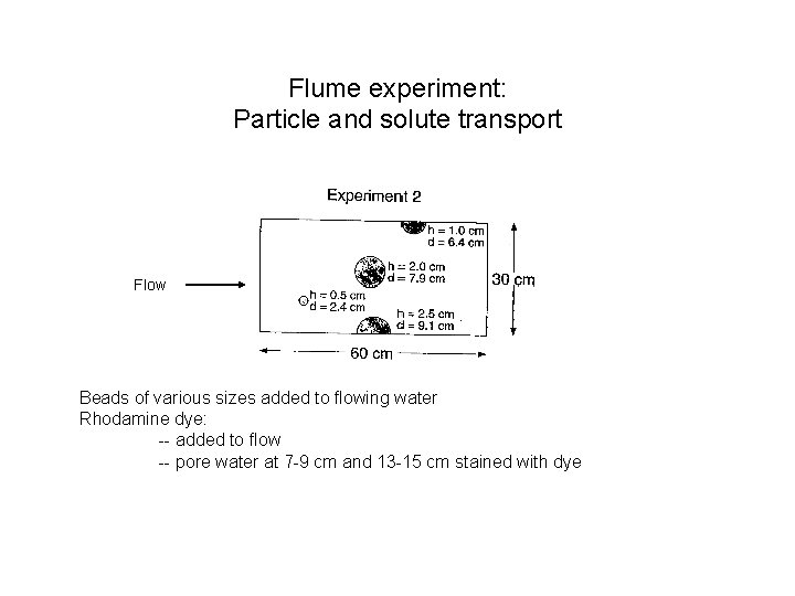 Flume experiment: Particle and solute transport Flow Beads of various sizes added to flowing