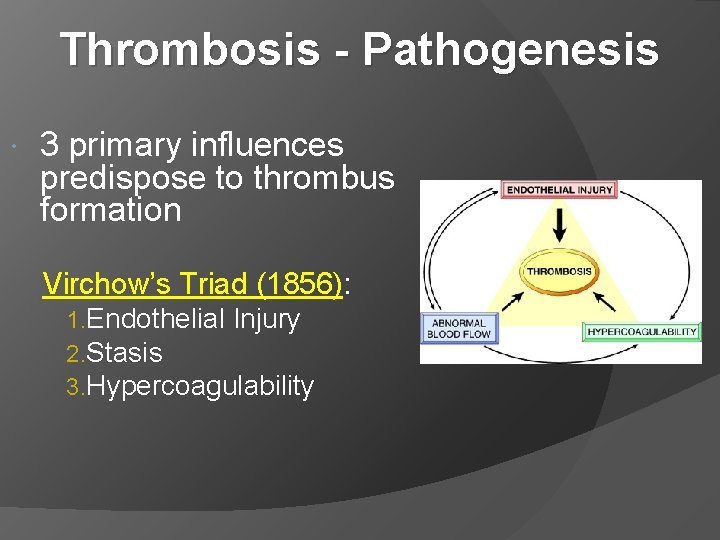 Thrombosis - Pathogenesis 3 primary influences predispose to thrombus formation Virchow’s Triad (1856): 1.