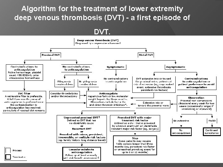 Algorithm for the treatment of lower extremity deep venous thrombosis (DVT) - a first