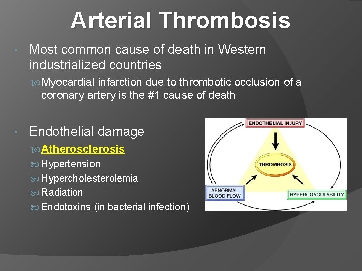 Arterial Thrombosis Most common cause of death in Western industrialized countries Myocardial infarction due