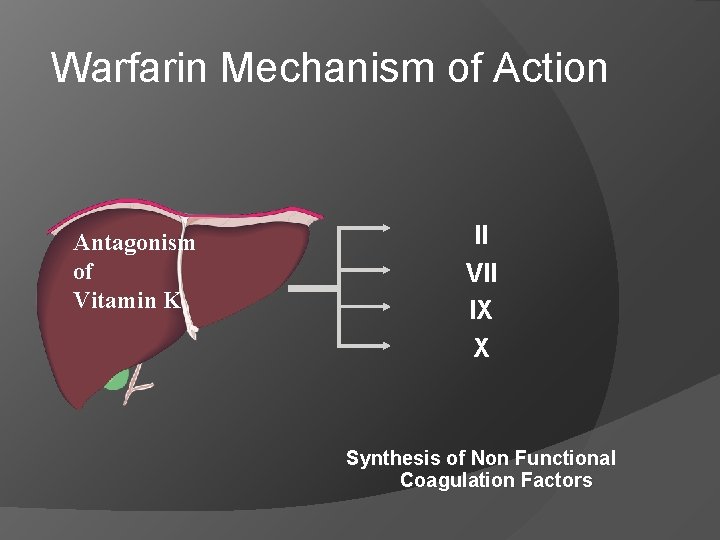 Warfarin Mechanism of Action Antagonism of Vitamin K II VII IX X Synthesis of