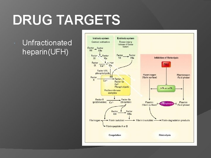 DRUG TARGETS Unfractionated heparin(UFH) 