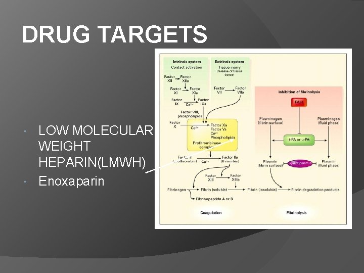 DRUG TARGETS LOW MOLECULAR WEIGHT HEPARIN(LMWH) Enoxaparin 