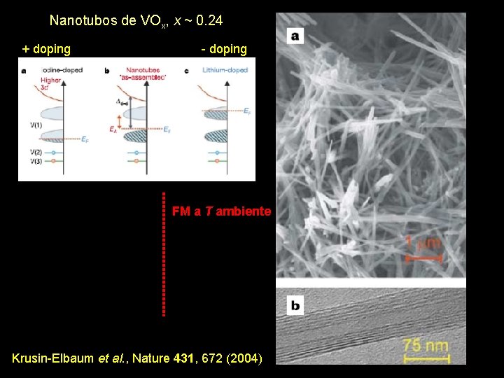 Nanotubos de VOx, x ~ 0. 24 + doping - doping FM a T