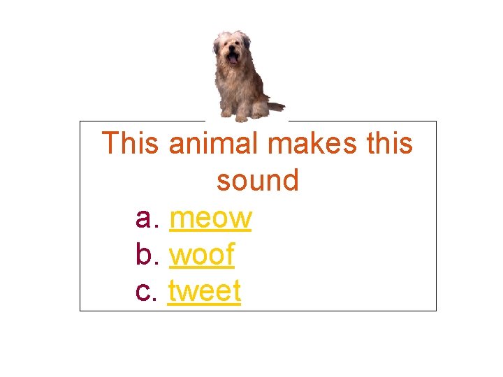 This animal makes this sound a. meow b. woof c. tweet 