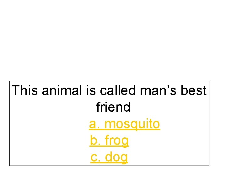 This animal is called man’s best friend a. mosquito b. frog c. dog 