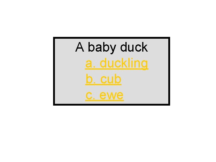 A baby duck a. duckling b. cub c. ewe 