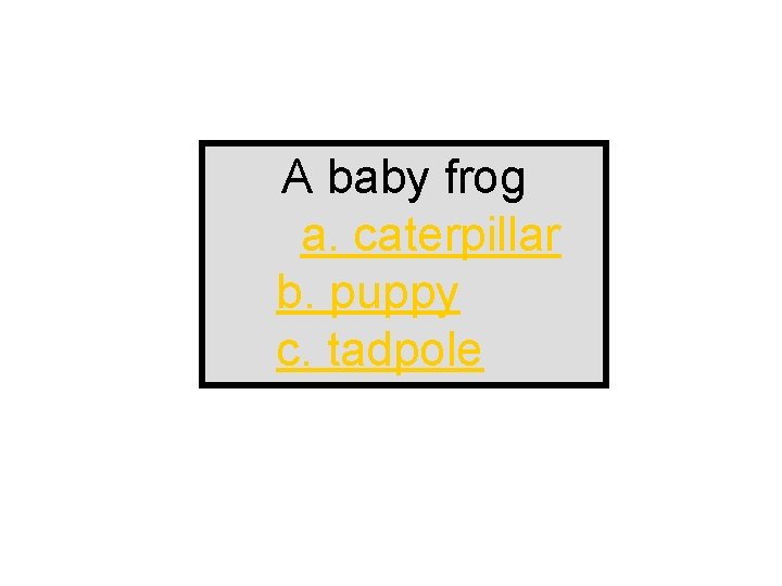 A baby frog a. caterpillar b. puppy c. tadpole 