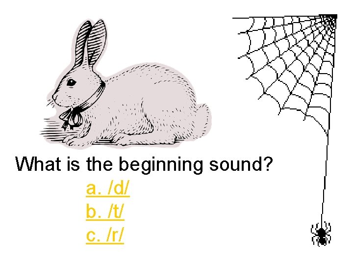 What is the beginning sound? a. /d/ b. /t/ c. /r/ 