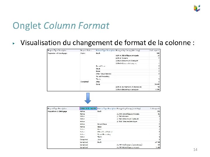 Onglet Column Format ▶ Visualisation du changement de format de la colonne : 14