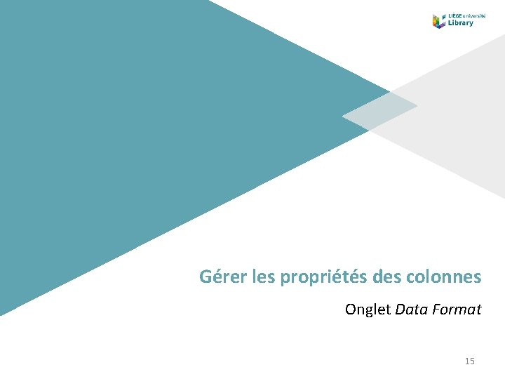 Gérer les propriétés des colonnes Onglet Data Format 15 