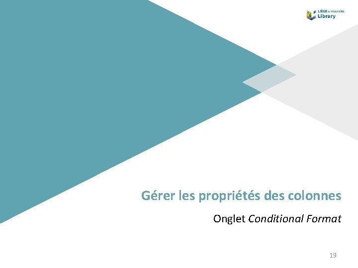 Gérer les propriétés des colonnes Onglet Conditional Format 19 