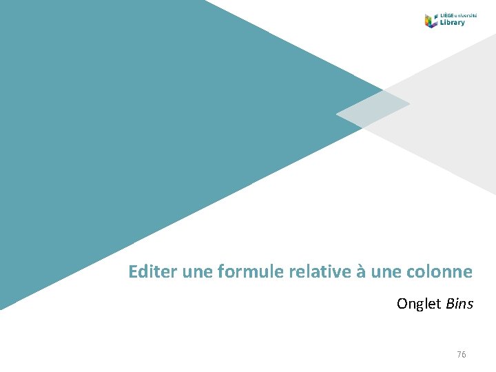 Editer une formule relative à une colonne Onglet Bins 76 