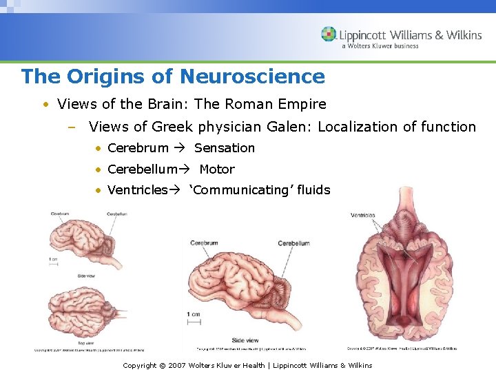 The Origins of Neuroscience • Views of the Brain: The Roman Empire – Views
