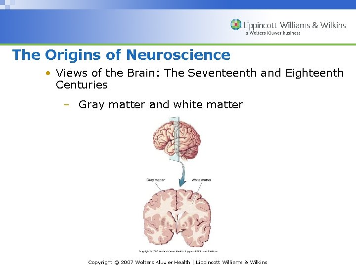 The Origins of Neuroscience • Views of the Brain: The Seventeenth and Eighteenth Centuries