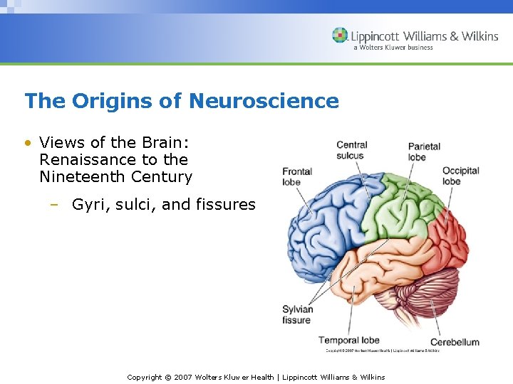 The Origins of Neuroscience • Views of the Brain: Renaissance to the Nineteenth Century