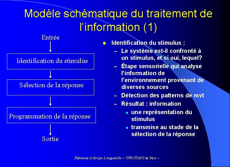 Modèle schématique du traitement de l’information (1) Entrée l Identification du stimulus Sélection de