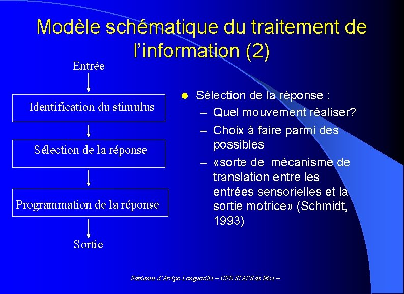 Modèle schématique du traitement de l’information (2) Entrée Identification du stimulus Sélection de la